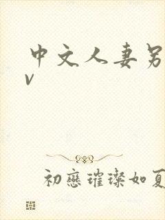 中文人妻另类av