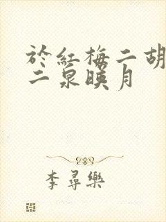 于红梅二胡独奏二泉映月