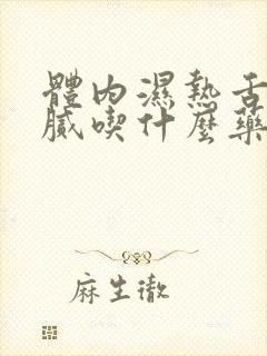 体内湿热舌苔黄腻吃什么药