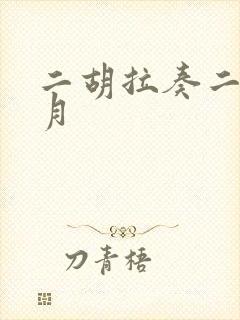 二胡拉奏二泉映月