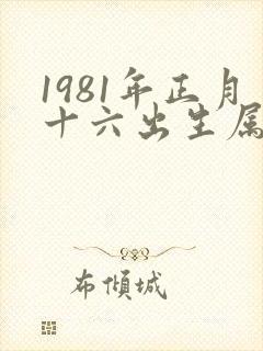 1981年正月十六出生属鸡的命运封面