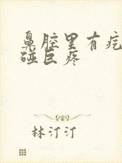 鼻腔里有疙瘩一碰巨疼