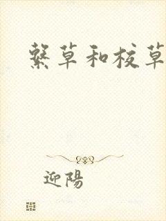 系草和校草封面