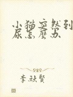 小猫突然到处乱尿怎么办