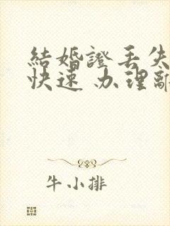 结婚证丢失了 快速 办理离婚手续