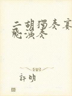 二胡独奏赛马宋飞演奏