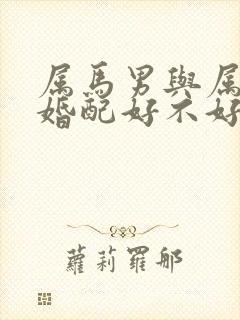 属马男与属虎女婚配好不好封面