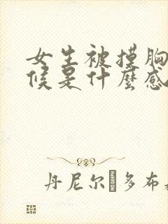 女生被摸胸的时候是什么感觉