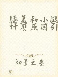 膝盖和小腿酸痛什么原因引起的