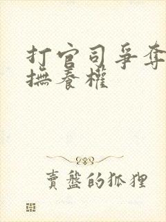 打官司争夺孩子抚养权