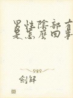 男性阴部有疙瘩是怎么回事