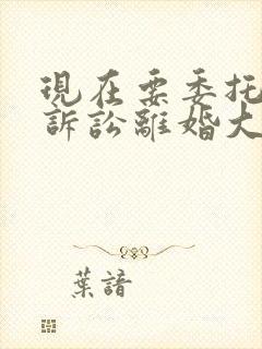 现在要委托律师诉讼离婚大概需要多少钱