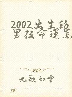 2002出生的男孩命运怎样封面