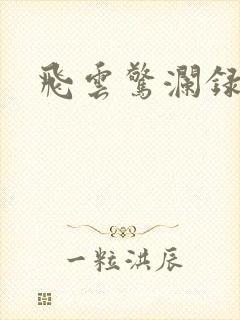 飞云惊澜录