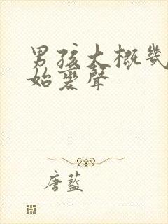 男孩大概几岁开始变声