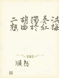 二胡独奏洪湖畅想曲于红梅