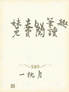 妹夫by笔趣阁免费阅读封面