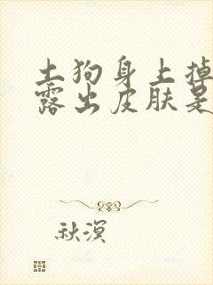 土狗身上掉毛裸露出皮肤是怎么回事