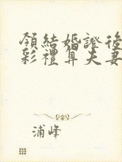 领结婚证后给的彩礼算夫妻共同财产吗