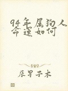 94年属狗人的命运如何封面