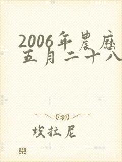 2006年农历五月二十八出生命运男孩封面
