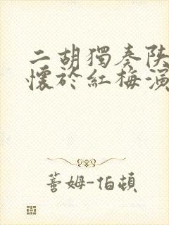 二胡独奏陕北抒怀于红梅演奏