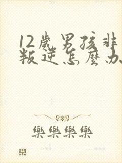 12岁男孩非常叛逆怎么办封面