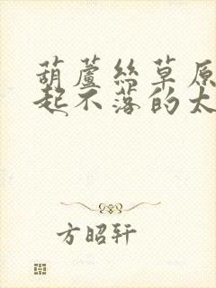 葫芦丝草原上升起不落的太阳指法