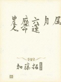 农历六月属猴的人命运