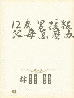 12岁男孩叛逆父母怎么办