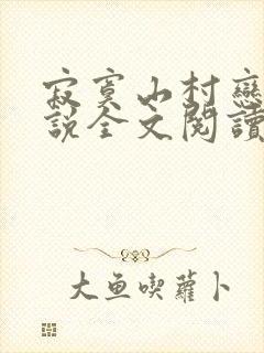 寂寞山村恋上小说全文阅读封面