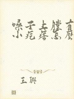 嗓子上膛有好多小疙瘩怎么回事封面