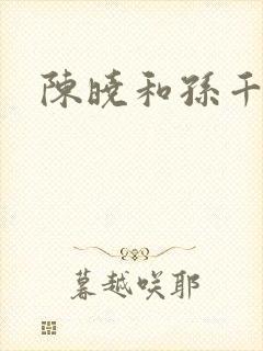 陈晓和孙千封面