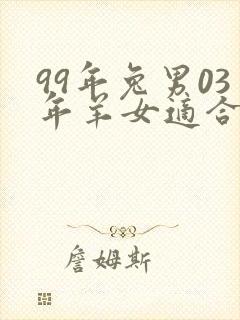 99年兔男03年羊女适合婚配吗封面