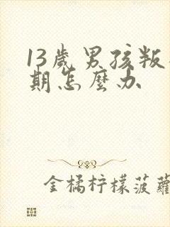 13岁男孩叛逆期怎么办