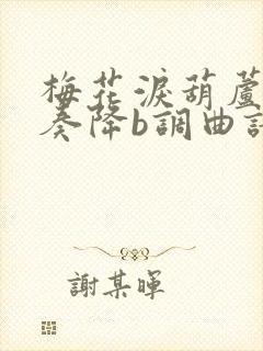 梅花泪葫芦丝独奏降b调曲谱封面