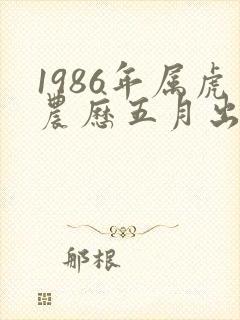 1986年属虎农历五月出生命运
