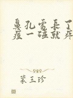 鼻孔处长了个痘痘一碰就疼