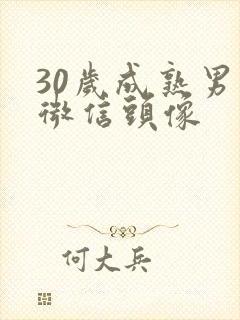 30岁成熟男人微信头像