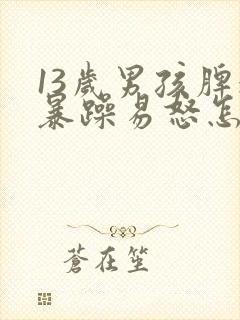 13岁男孩脾气暴躁易怒怎么办