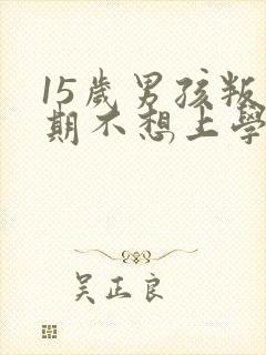 15岁男孩叛逆期不想上学怎么办