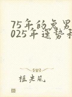 75年的兔男2025年运势和财运怎么样