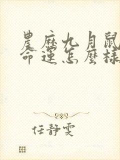 农历九月鼠男的命运怎么样封面