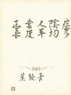 正常人阴痉勃起长度平均多少