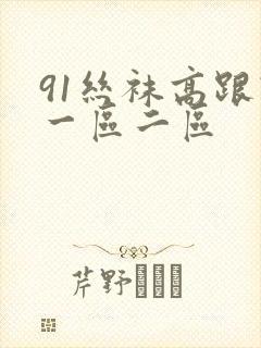 91丝袜高跟鞋一区二区