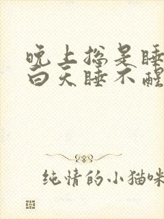晚上总是睡不着白天睡不醒封面