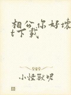 相公你好坏txt下载