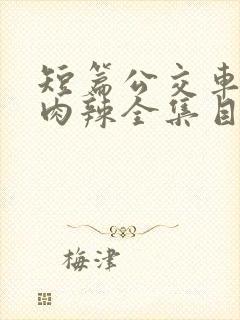 短篇公交车高h肉辣全集目录