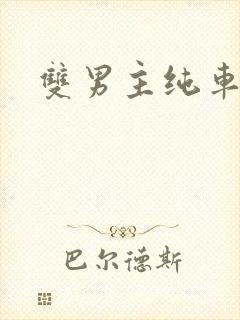 双男主纯车骨科封面