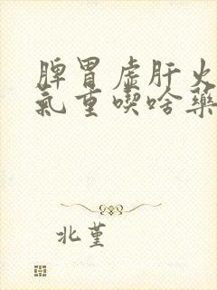 脾胃虚肝火旺湿气重吃啥药